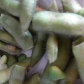 プロ直伝！ほんとうにおいしい枝豆の基本の茹で方