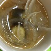 ナスと玉ネギのみそ汁