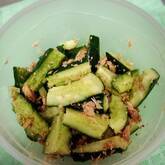 キュウリのツナゴマ和え