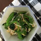 モヤシとホウレン草のおひたし