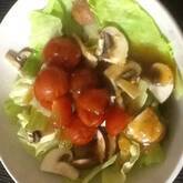 グリーンサラダ