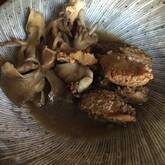 イワシのみそつみれ煮