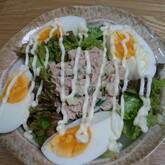 ツナとキュウリのサラダ