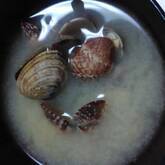 アサリのみそ汁