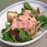 ナスのツナドレッシングサラダ