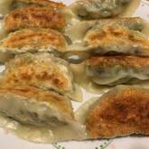 春キャベツの餃子