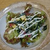 海藻サラダ
