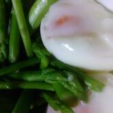 グリーンアスパラの卵ソース