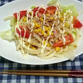 時短で簡単！サラダうどん 冷凍うどんと麺つゆを使った人気レシピ