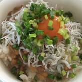 お手軽のせるだけ！しらす納豆丼 ふわふわ食感
