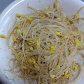 豆モヤシのナムル