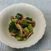 パリパリキュウリ