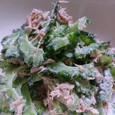 ゴーヤのツナゴマ和え