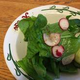 ホウレン草のサラダ