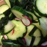 ラディッシュの酢の物