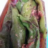 焼きシシトウのお浸し