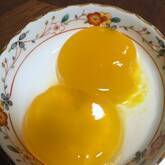 簡単！オレンジジュースでプルプルゼリー