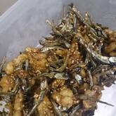 田作り（ごまめ）クルミ入り