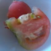 オイスターソースが隠し味！コク旨簡単トマト中華サラダ