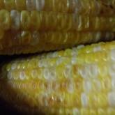 フライパンで焼きトウモロコシ