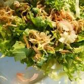 レタスとミョウガのサラダ