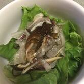 塩もみ冬瓜のもずく和え