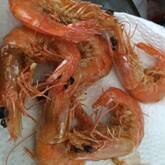 川エビの唐揚げ