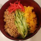 彩り鮮やか！簡単基本の三色丼 ご飯がすすむ 卵と鶏とキュウリで作る