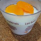 つるんと優しい甘さ！フルーツ牛乳かん