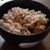 夏にさっぱり！梅しそゴマの混ぜご飯