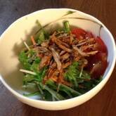 ゴボウの貝割れサラダ