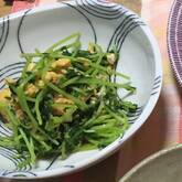 豆苗のオイスター炒め