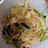 春キャベツとワカメのサラダ