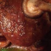 キノコづくしのデミグラスハンバーグ