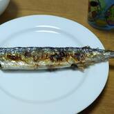 サンマの塩焼き