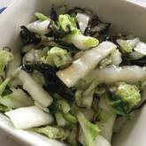 白菜の塩昆布和え