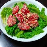 トマトとチーズのサラダ