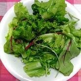 シンプルサラダ