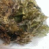 セロリの葉の天ぷら