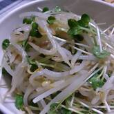 中華モヤシサラダ