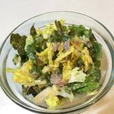 白菜のシンプルサラダ