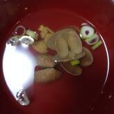 アサリのスープ