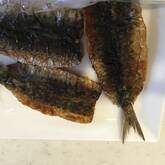ごはんに合う！甘辛イワシの蒲焼き