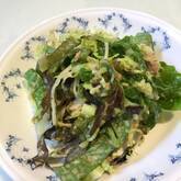 サニーレタスのサラダ