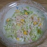 キャベツがおいしい！コールスロー by森岡 恵さん