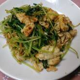 豆苗のオイスター炒め