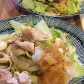 さっぱり！おろし冷しゃぶうどん