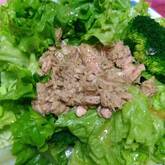 ブロッコリーとツナのサラダ