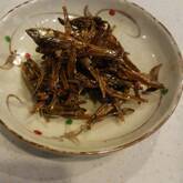 田作り（ごまめ）