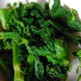 菜の花のお浸し